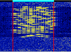 A clean Thor 16 signal on 80 m, magnified on the waterfall